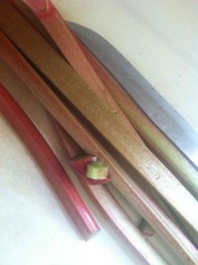 Homegrown Rhubarb