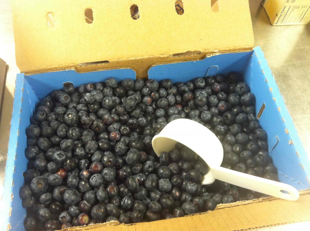 Lots of Blueberries
